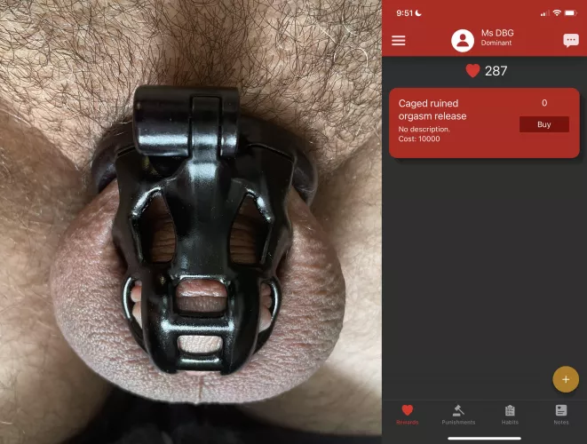 MsDBG8422 has kept her property locked in this cruelly undersized cage, and denied orgasm for over three months. She has me performing tasks in an obedience tracker to collect points. When I reach 10,000 points, I’m permitted to ask for a caged ruined 