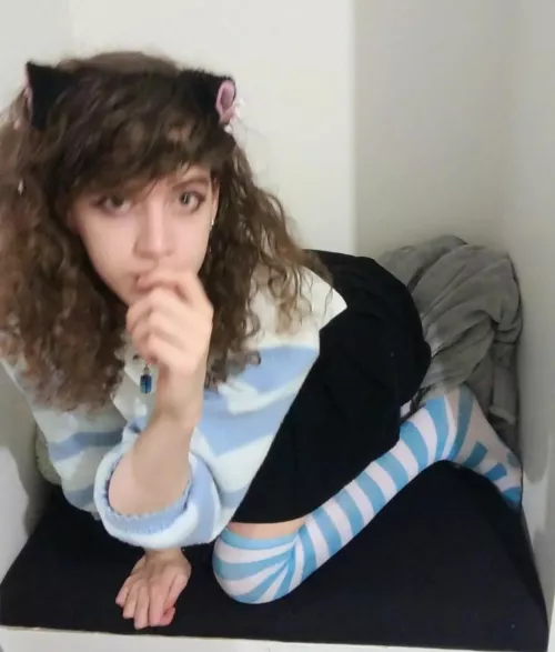 must peek over at the people eating to be fed!! 🐾