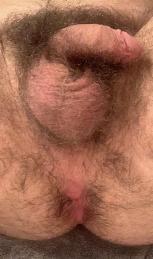 my bear milking apparatus 😋