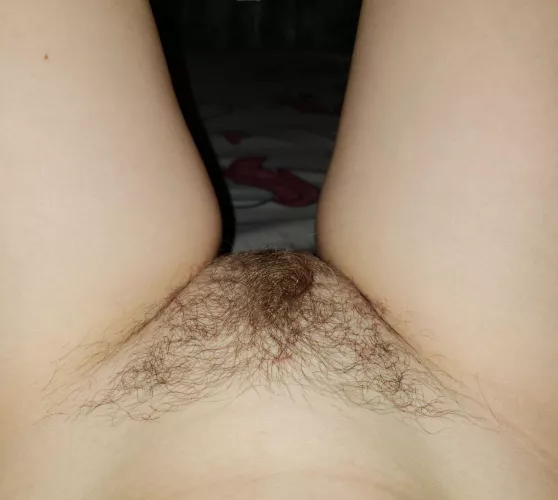 My bush is getting bigger and bigger🤩