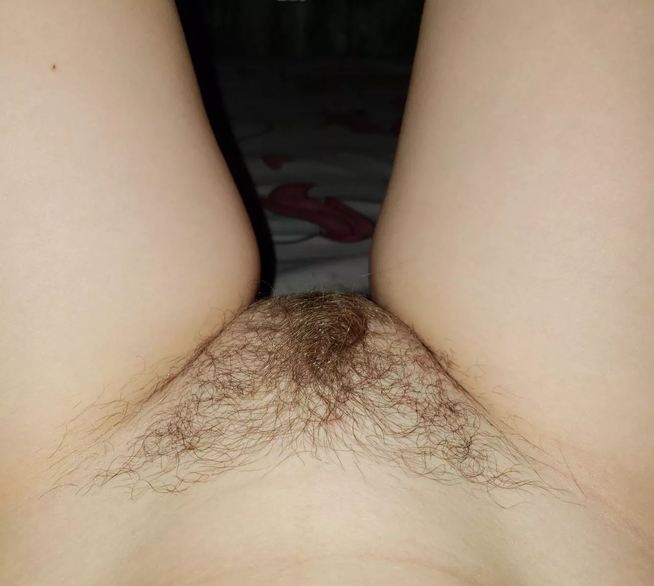 My bush is getting bigger and bigger🤩