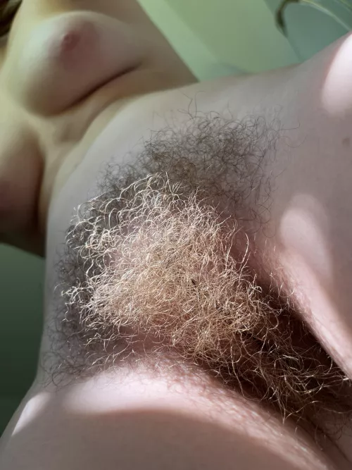 my bush is very soft, do you want to touch it?