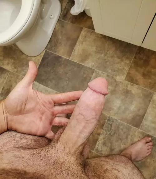 My Canadian cock