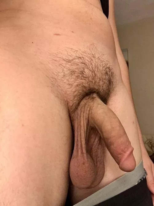 My Cock and Balls!