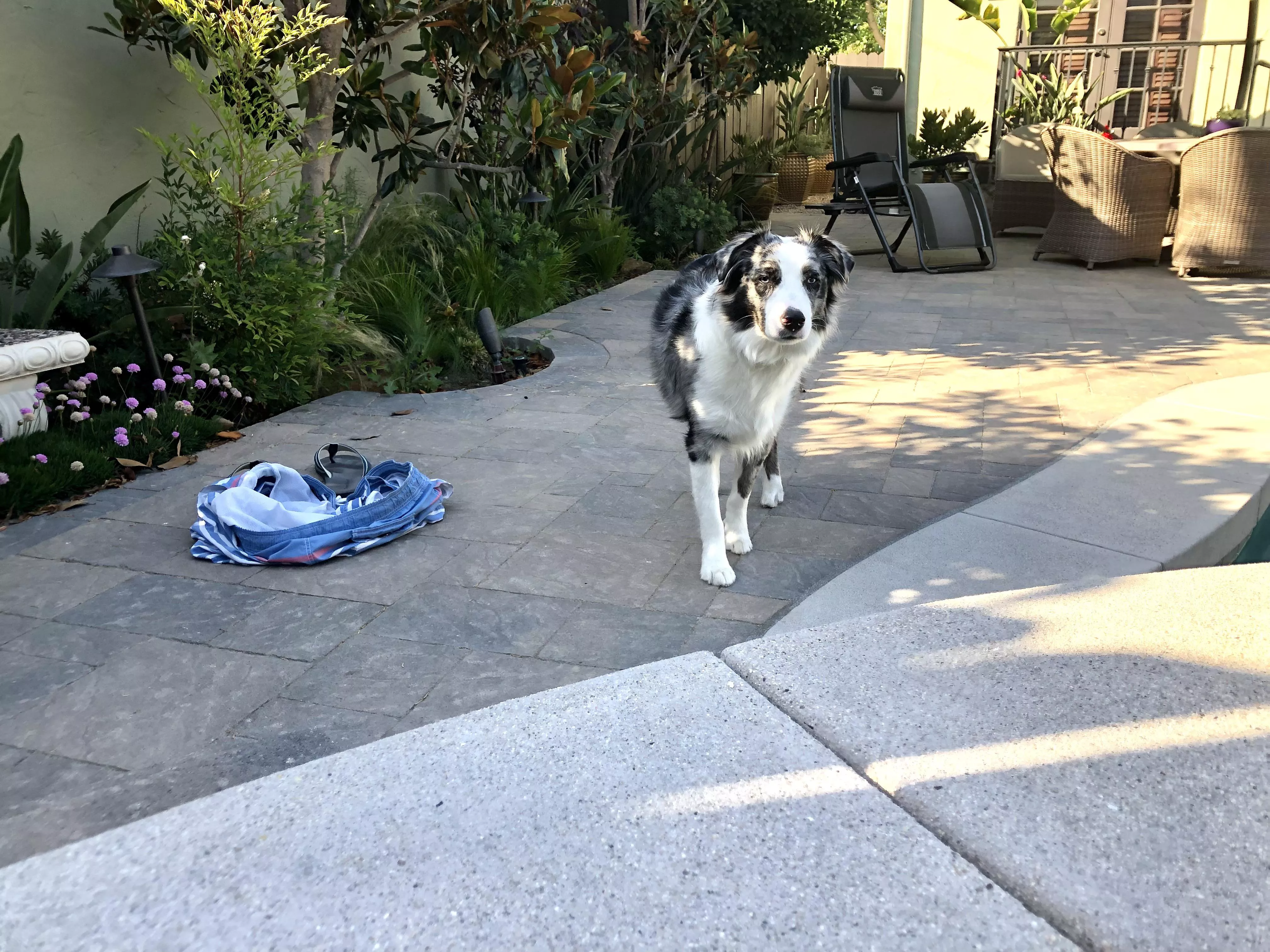 “My dad’s in the pool again. Ask me how I know.” Toby Cooper