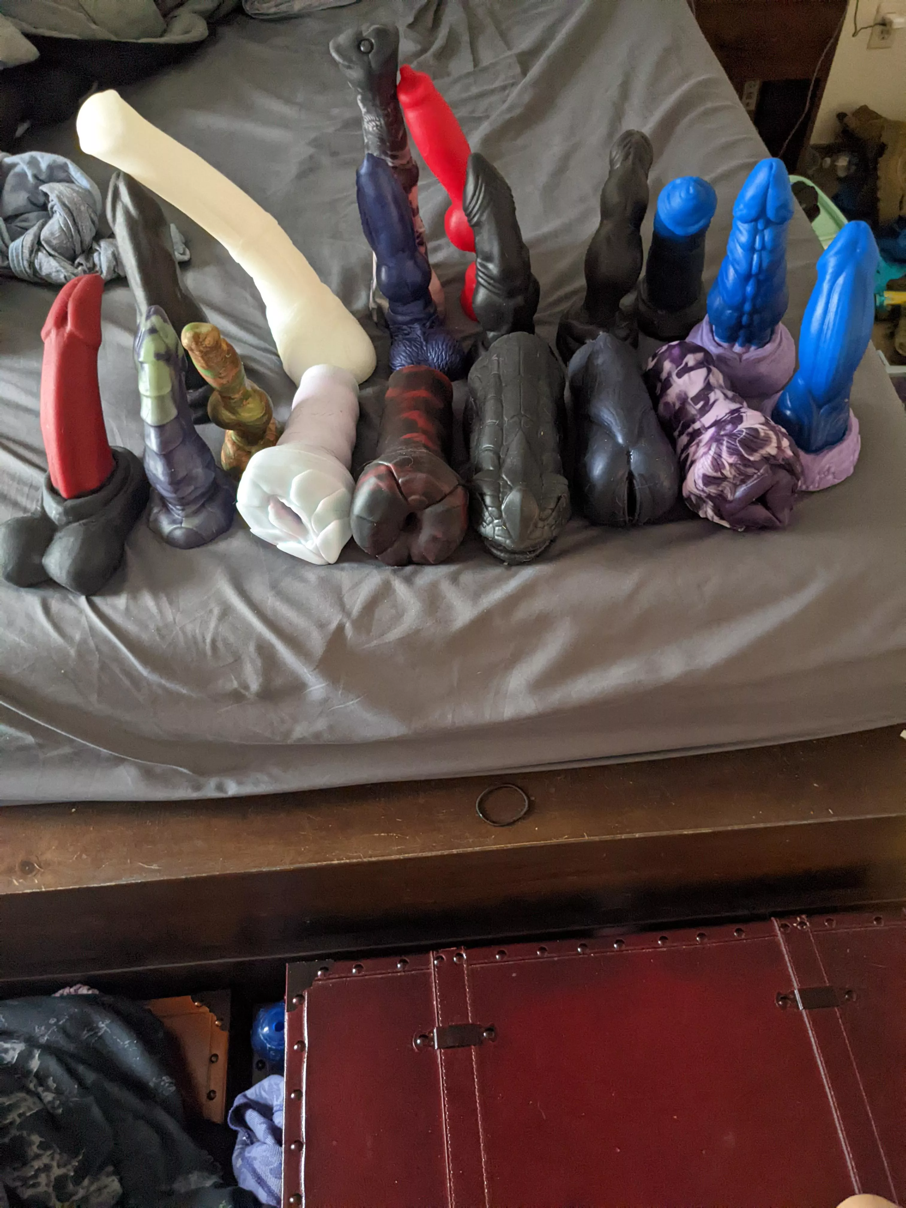 my dragon fam with three I need to put with them. I might be addicted to the riding them