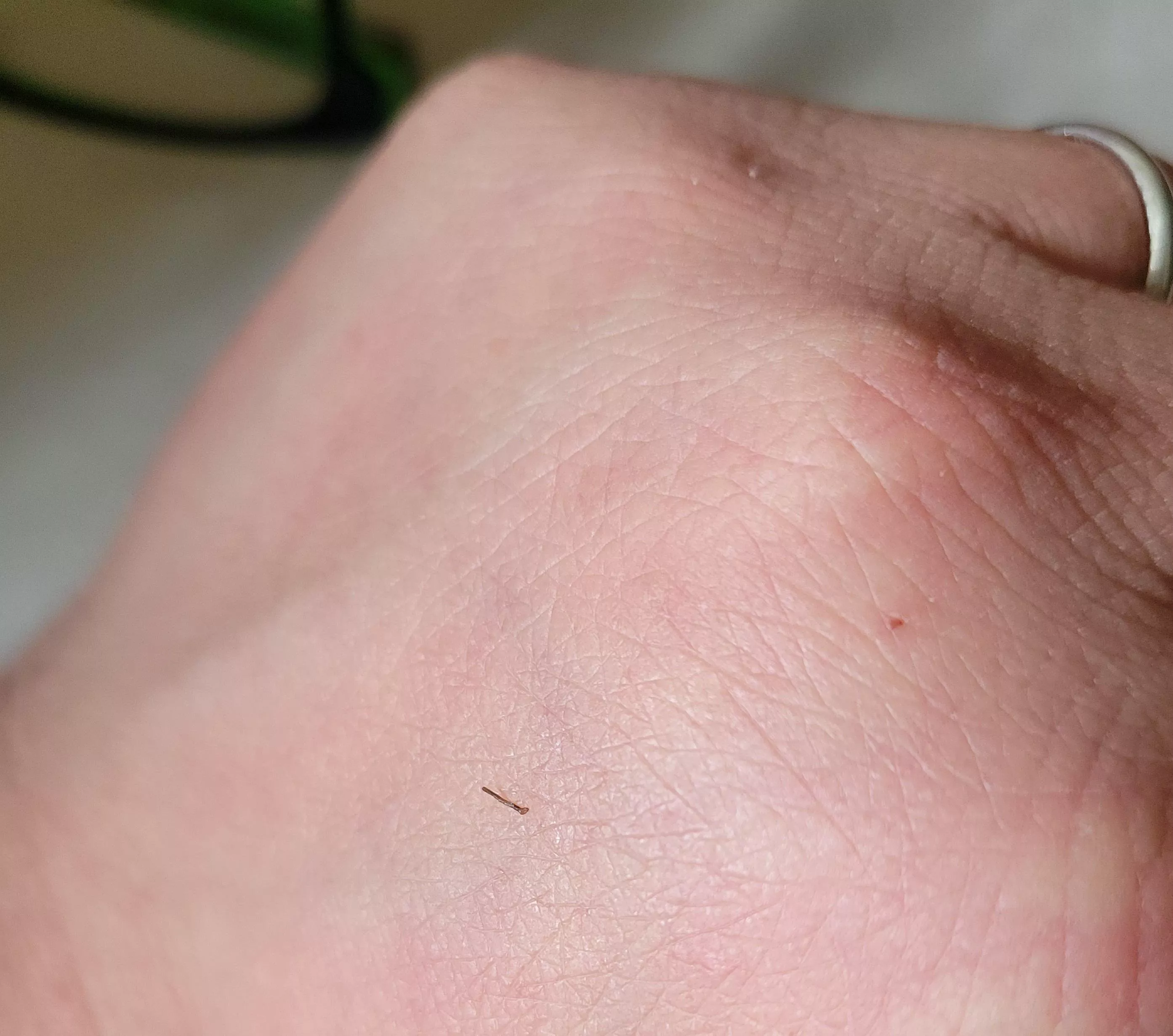 My ear has been itching like crazy for a few days, i could feel something in there, and managed to tweeze out this little tree trunk of a hair.