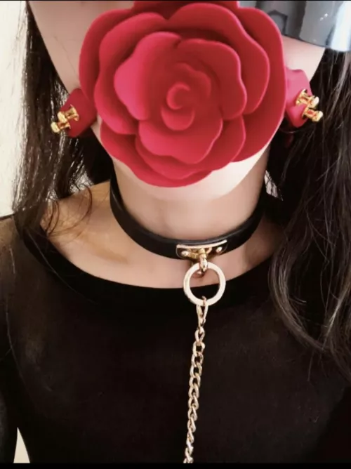 my favourite ballgag 😝