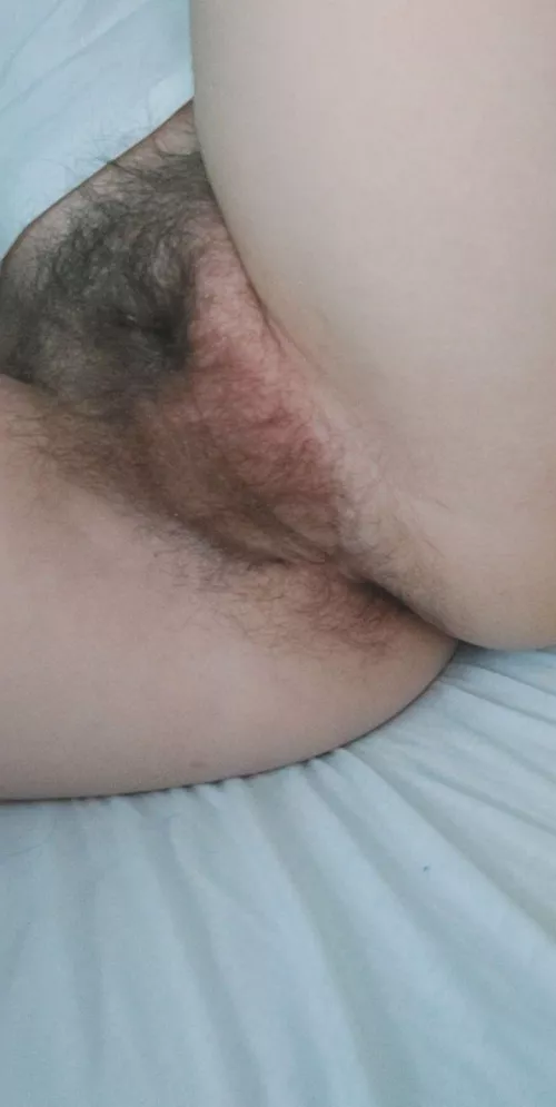 my first post here i hope you guys like how hairy my pussy is