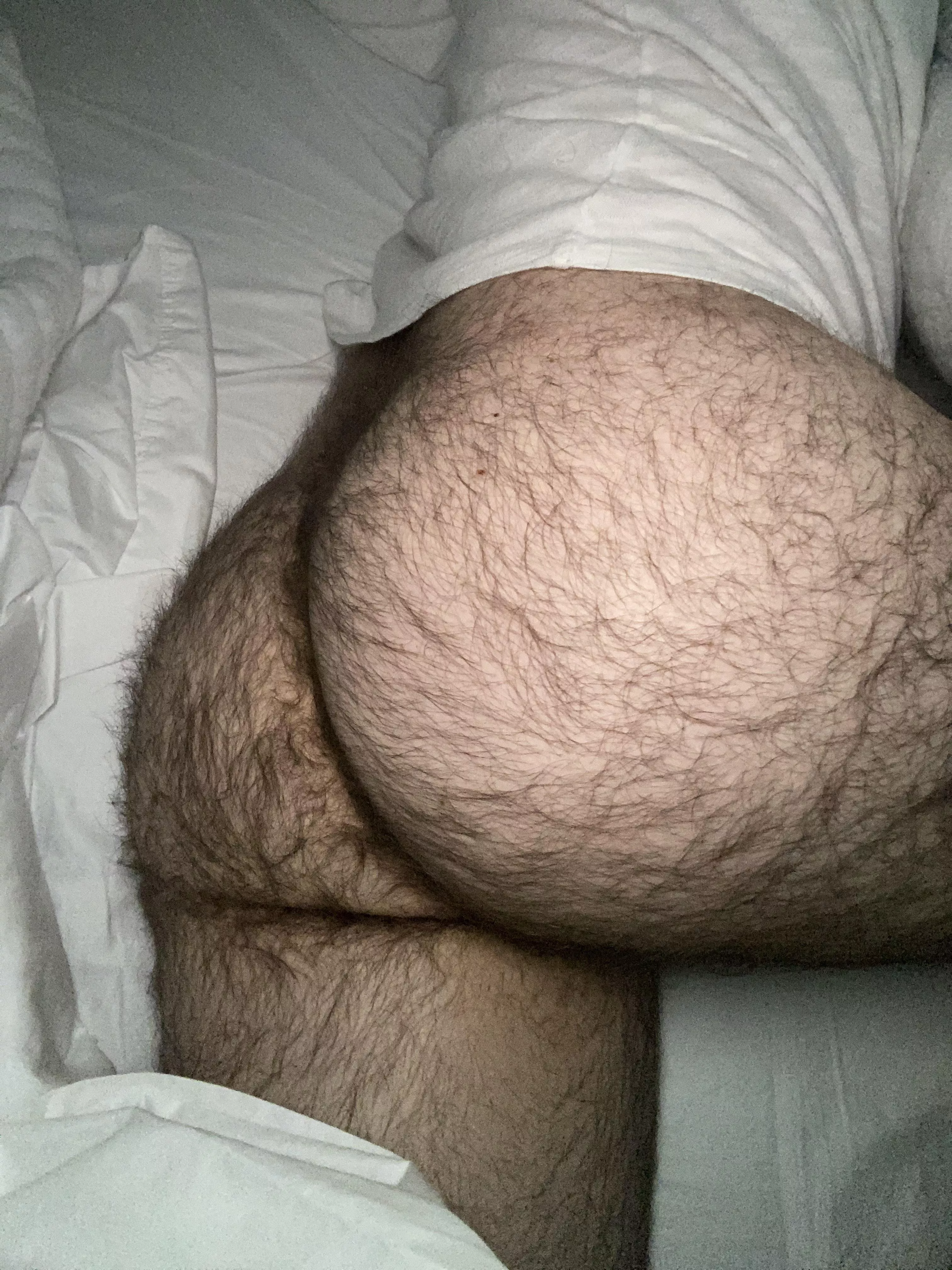 My furry ass