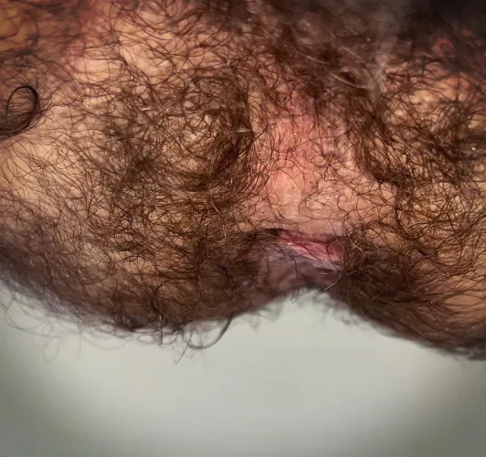 My hole and taint are so damn hairy…..