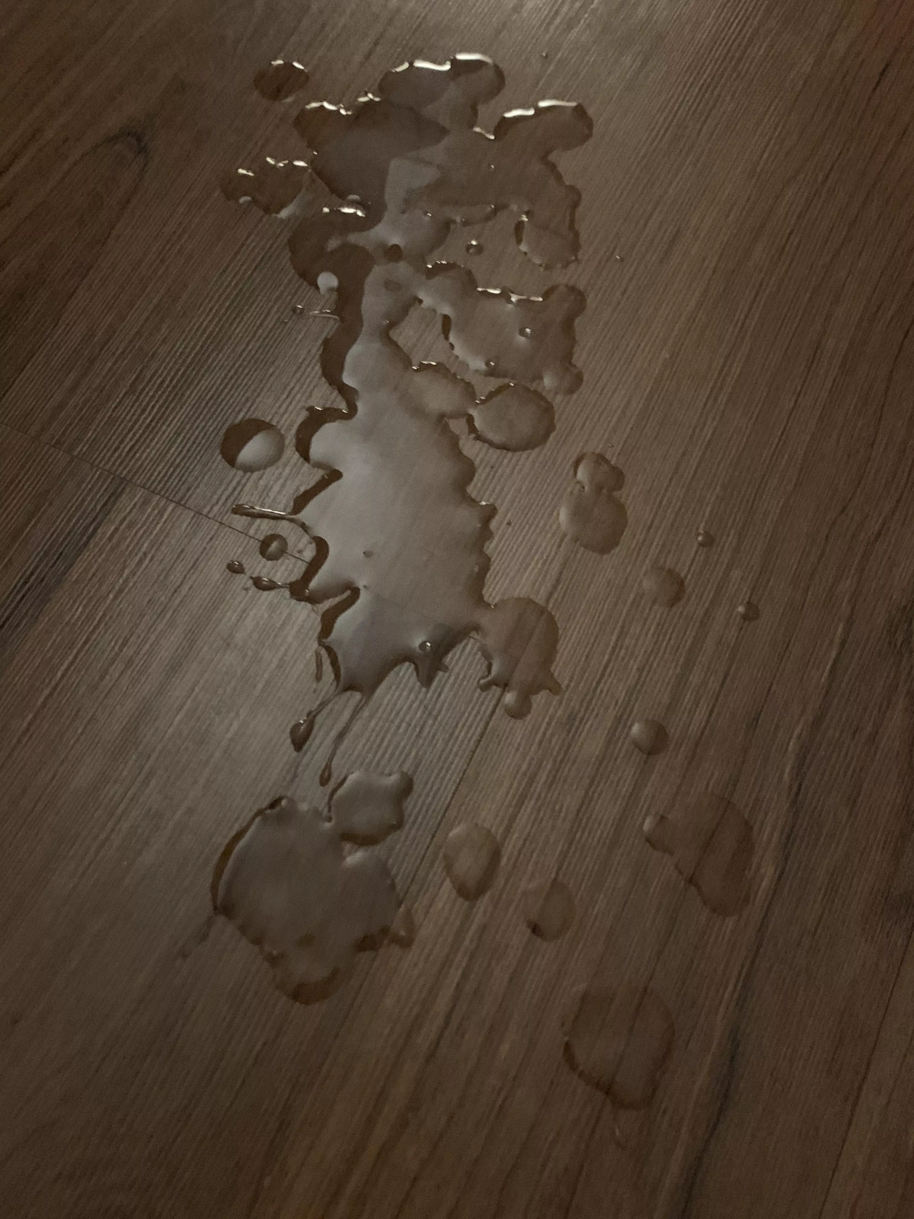 My load. Can you imagine playing the “soggy biscuit” game with me?? Haha