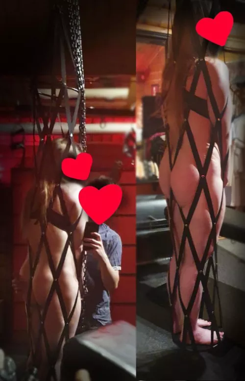 My master put me in this strap cage yesterday. It was… definitely effective