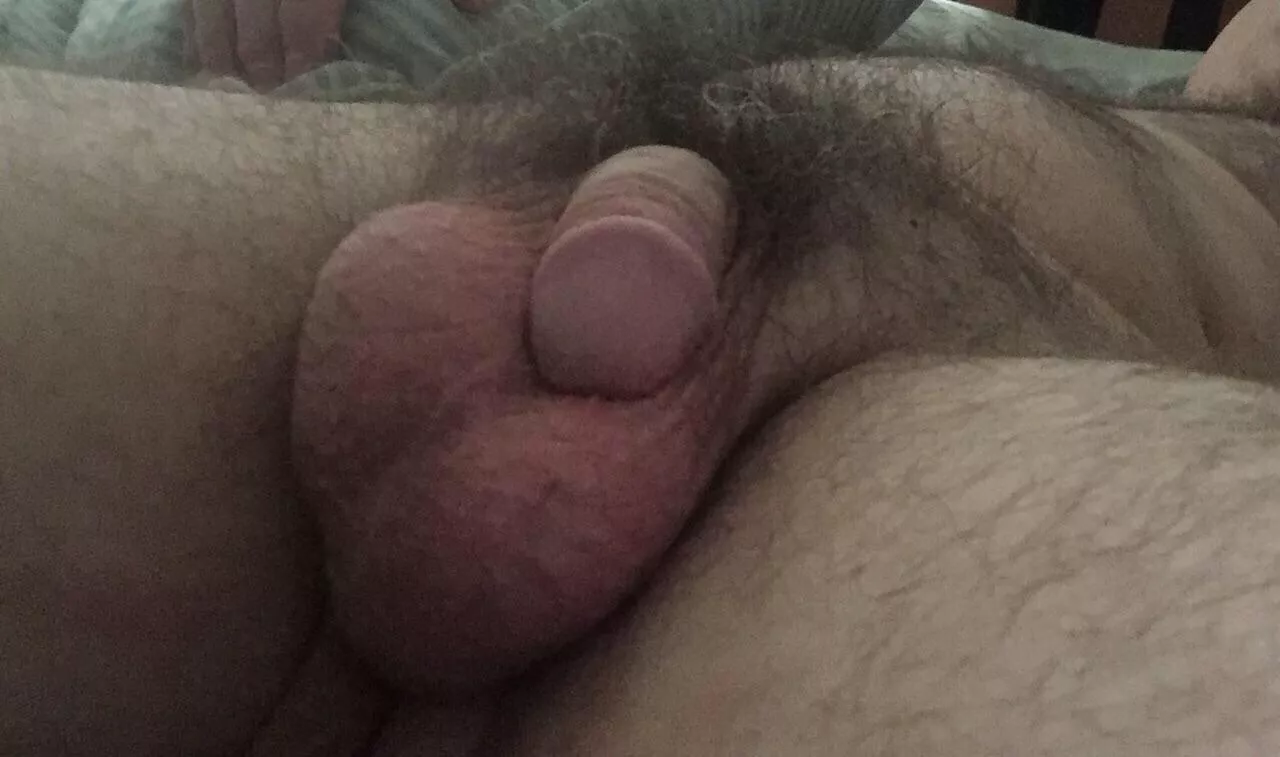 My pubes