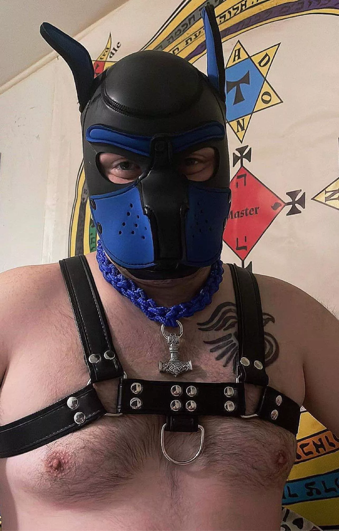 My Puppy’s first pic 🥰