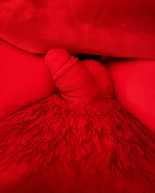 my sleepy peepee 😴 [25]