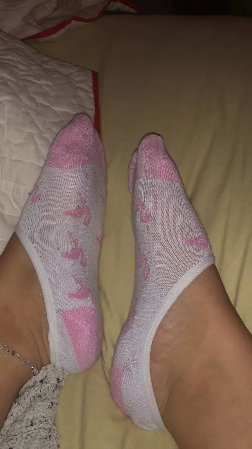 my stinky pink and white socks with my sweaty feet in them!