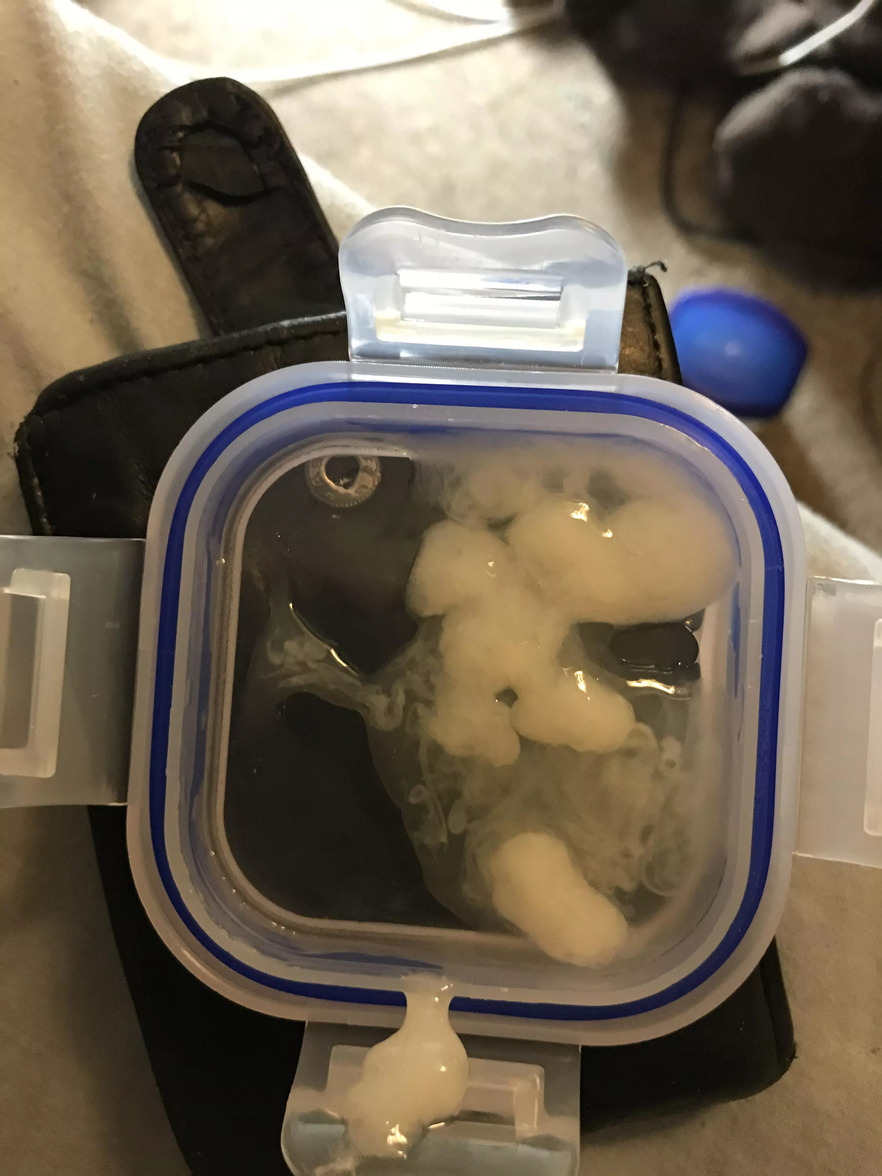 My thick sticky cum.