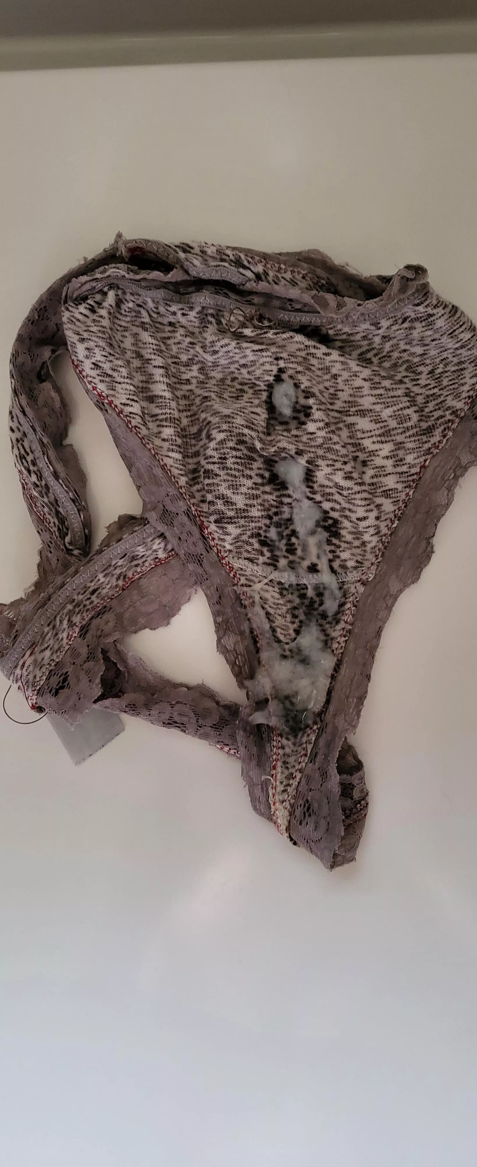 My wife's sexy thong proved too much! 😜