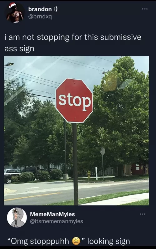 Never thought I could feel so personally attacked by a stop sign!