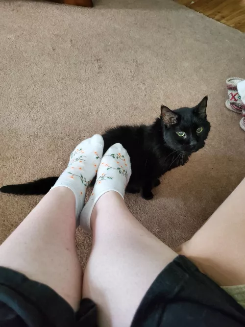 New cute socks ❤️