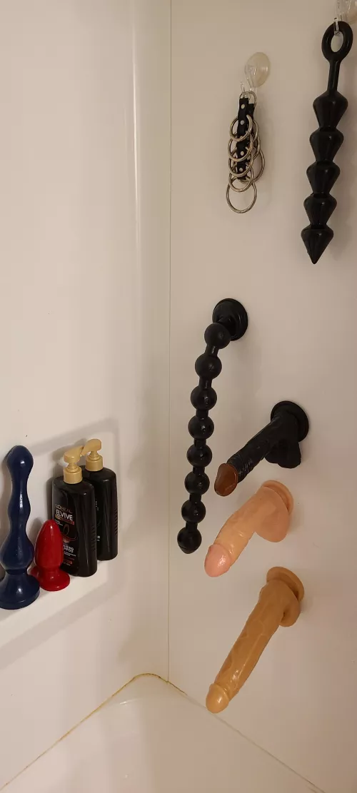 New house has a shower with walls that work with suction cup bases. Think I'm going to have some fun 😊 😜