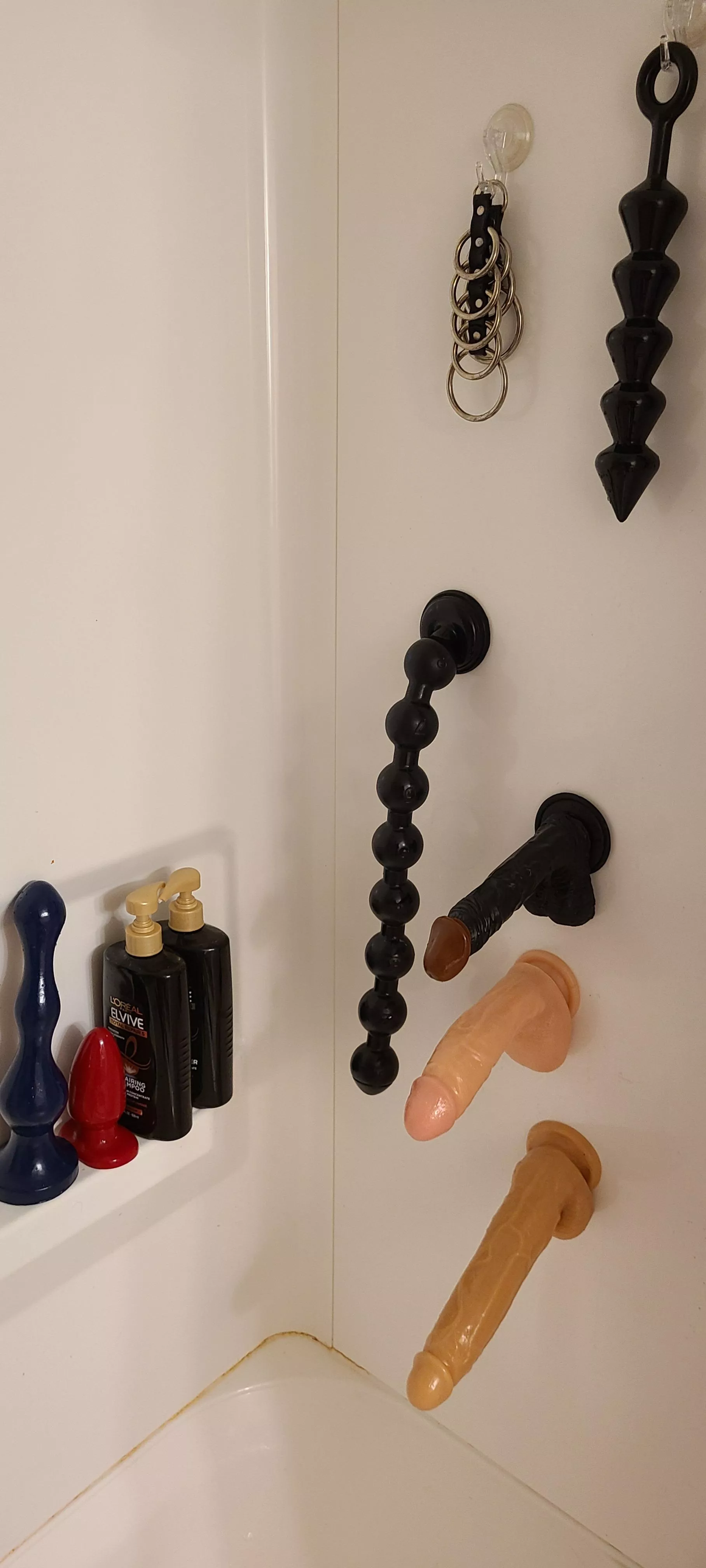 New house has a shower with walls that work with suction cup bases. Think I'm going to have some fun 😊 😜