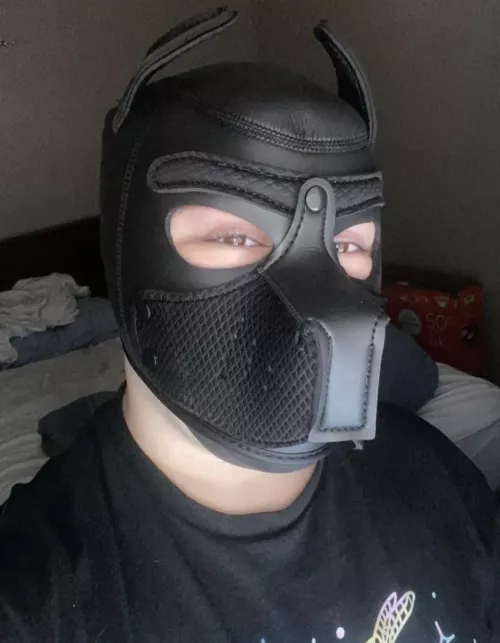 New pup mask