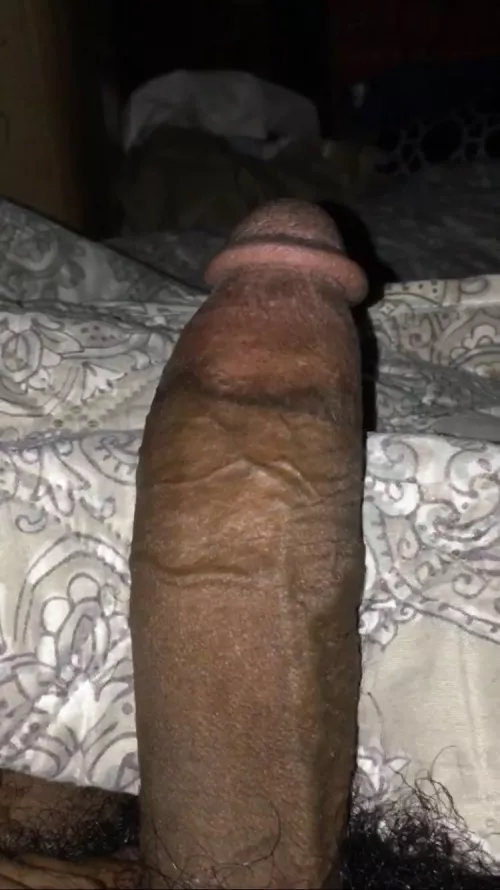 new to this shit just wanted to post my dick n go that’s all lmao