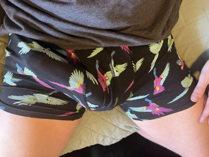 New undies have some nice sheer to them when stretched 😉