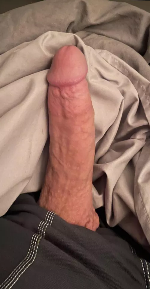 Newbie here. Please rate