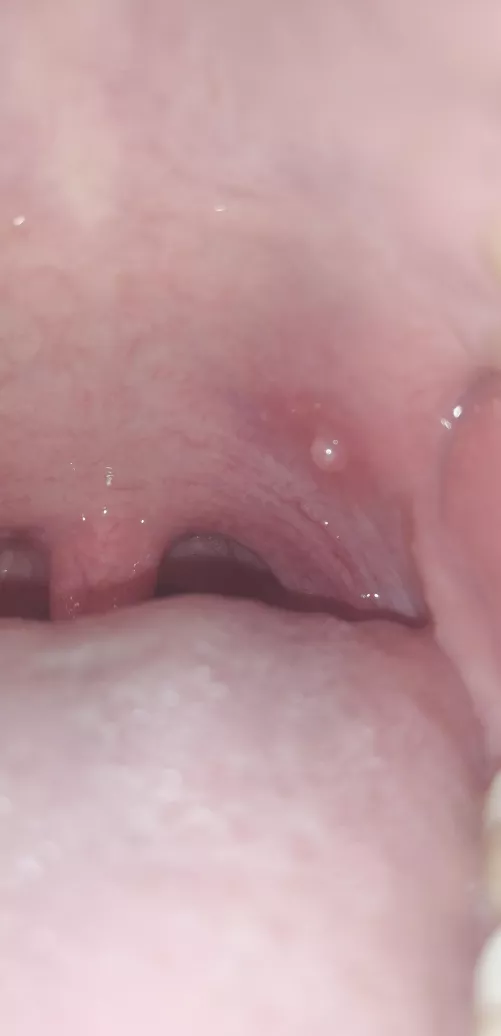 No idea what you are. All I know is that you are the forbidden pop and I feel every second of your existence.