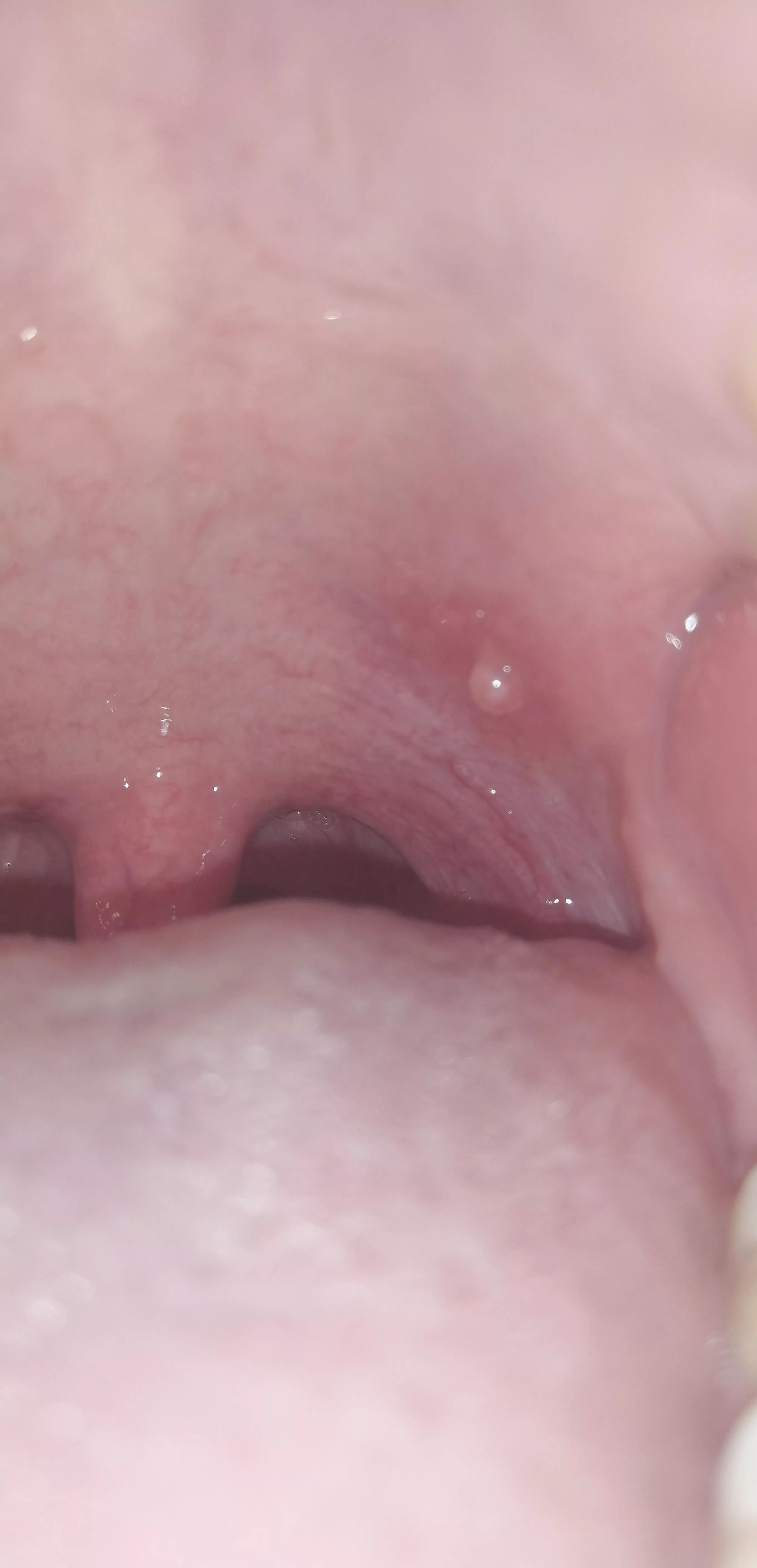 No idea what you are. All I know is that you are the forbidden pop and I feel every second of your existence.