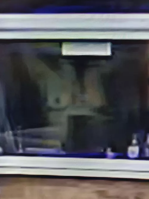 no need for curtains 😍