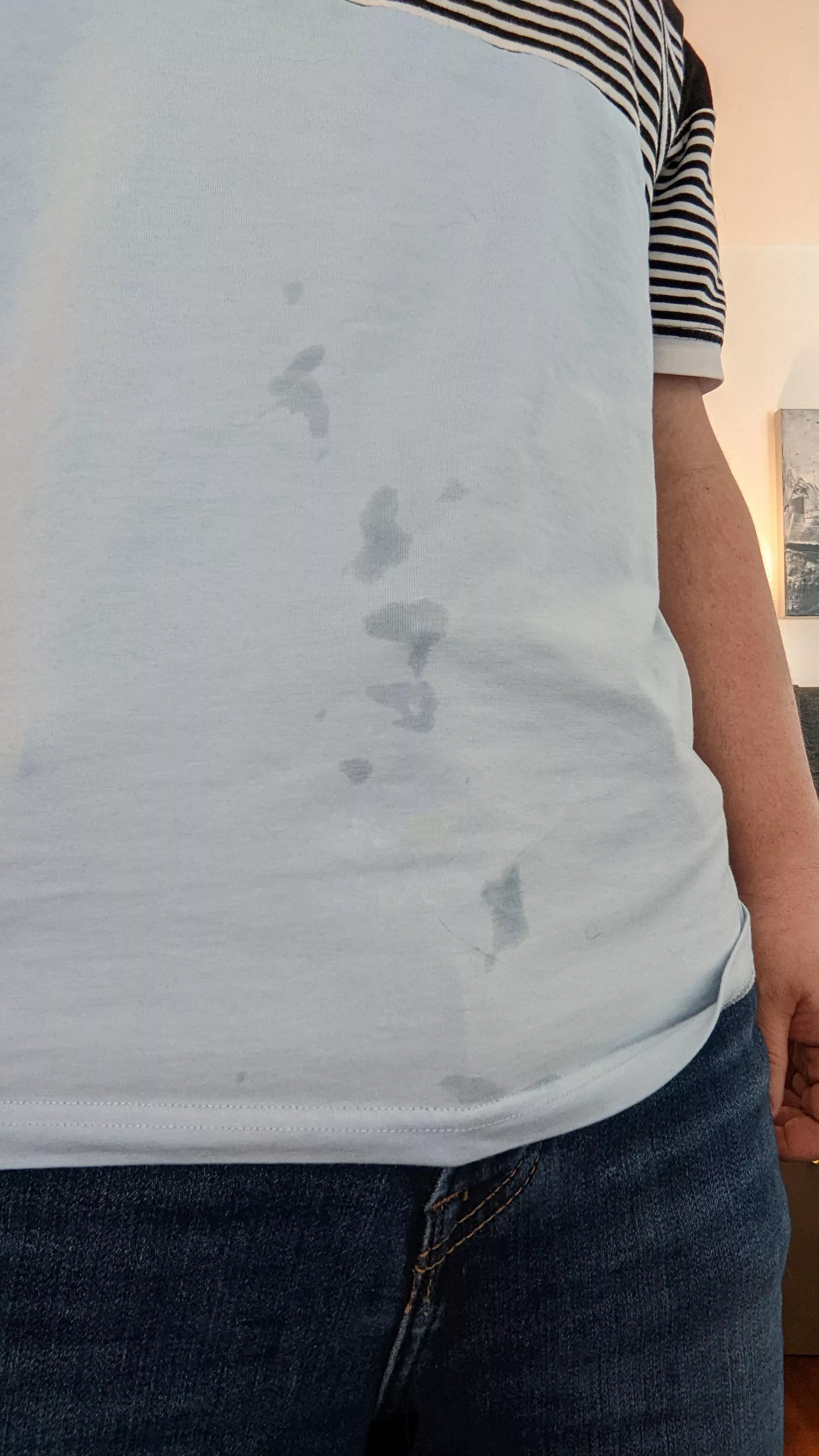 no one in my zoom meeting knew I had precum all over my shirt