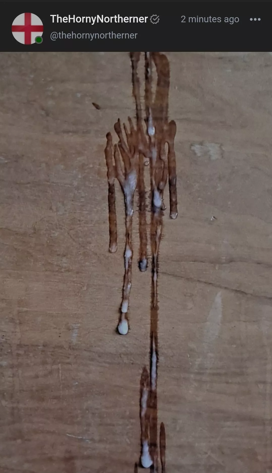 nom nom nom nom nom nom