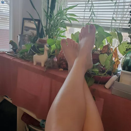 Not quite warm enough to take these on the porch