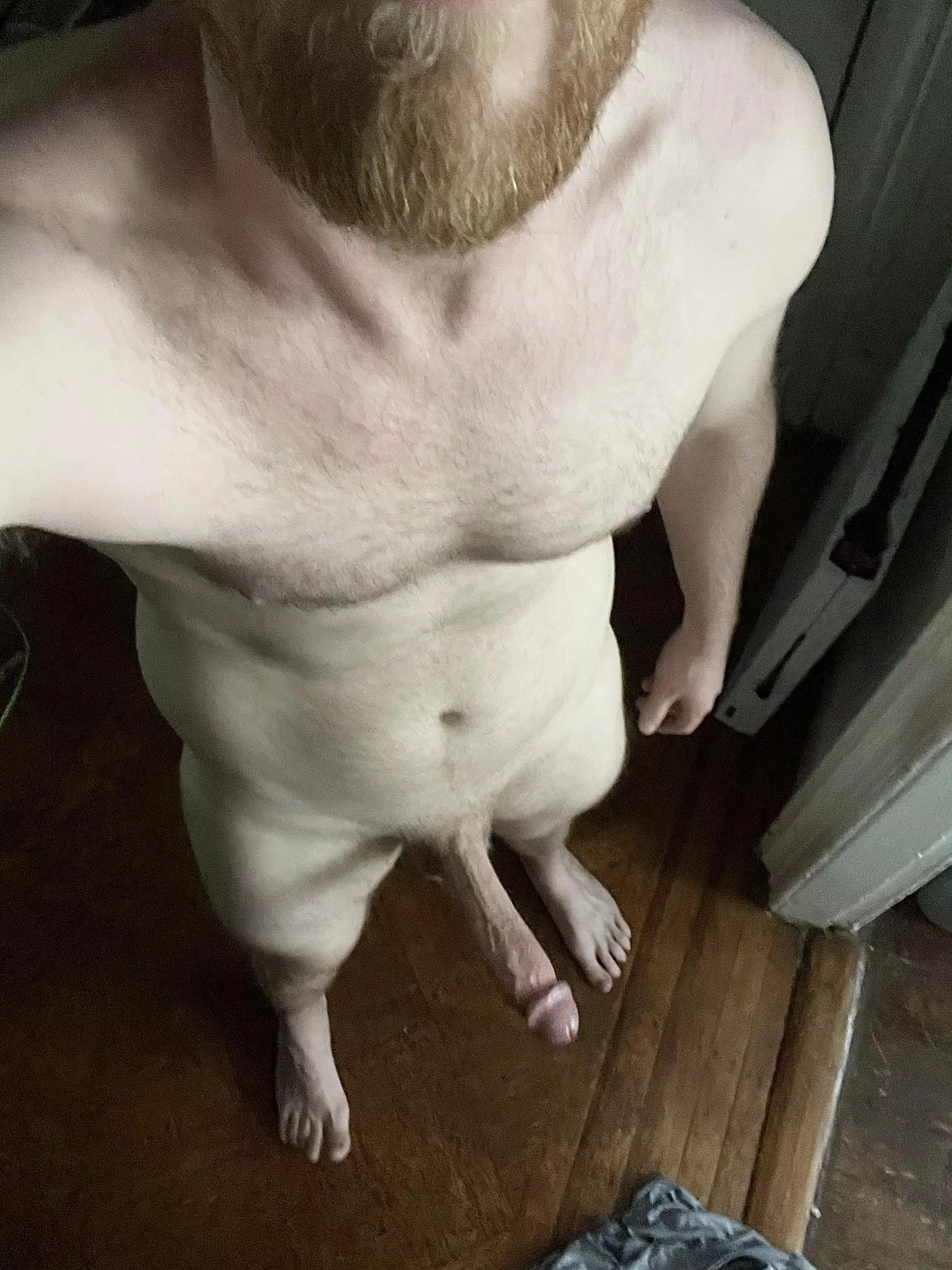 Not usually into breeding talk, but who wants some 6’4 Ginger genes? Not usually into breeding talk, but who wants some 6’4 Ginger genes?