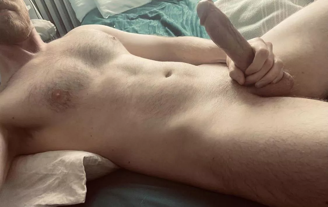 Not usually into breeding talk, but who wants some 6’4 Ginger genes?