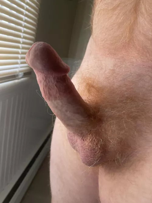 Nothing fancy just my dick