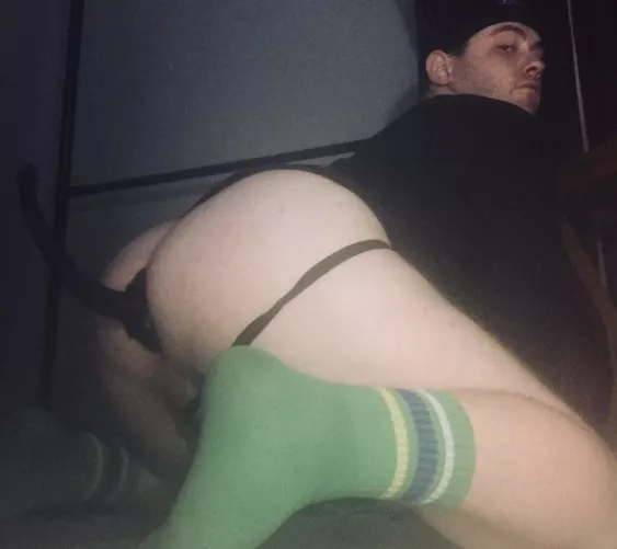 nothing like a good pup tail🐺