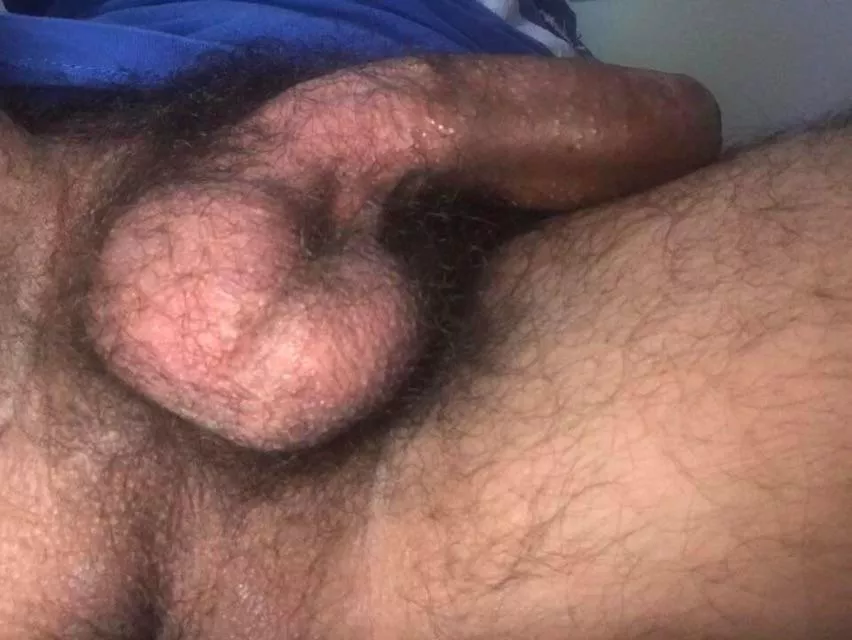 Nuts in your face…