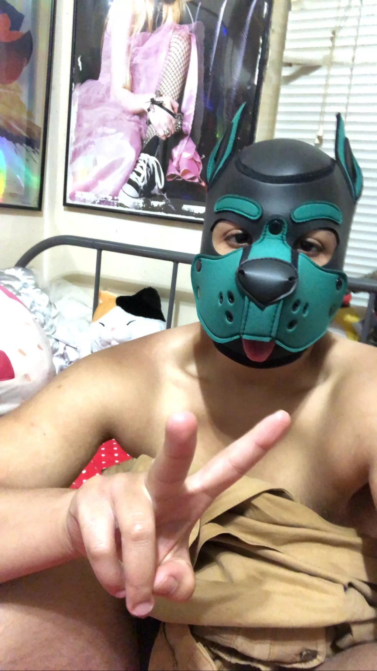 Nyc pups or Las Vegas Friends?