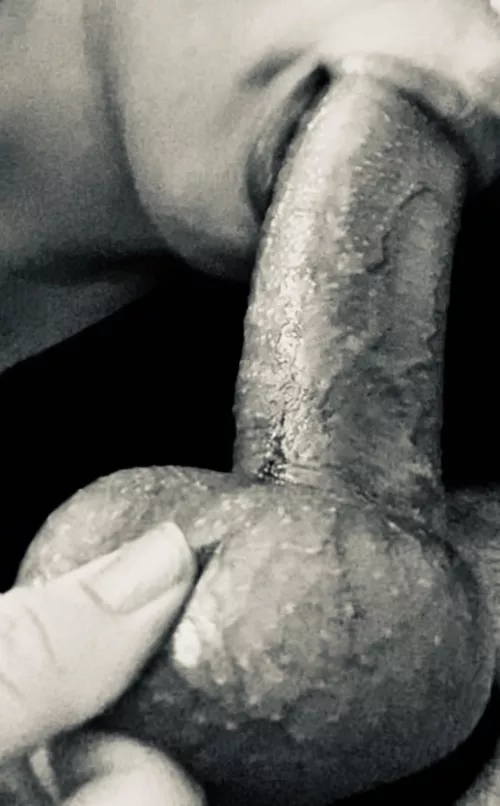 (OC) Draining my husbands cock