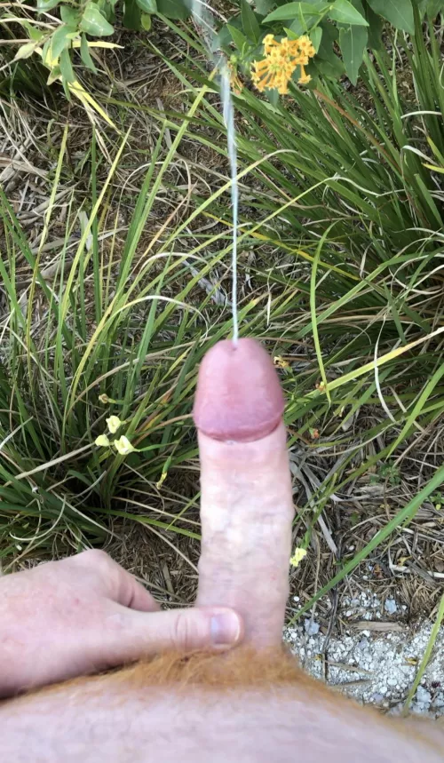 [OC] I came so hard I had to hide in the bushes