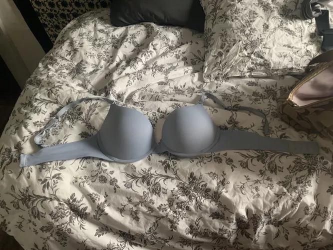 Older Stepsisters 34D bra