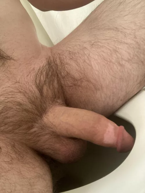 One of the perils of having a 5.5-6” soft dick is having it dip into toilet water; you gotta sit as far back on the seat as possible 🤷🏼‍♂️
