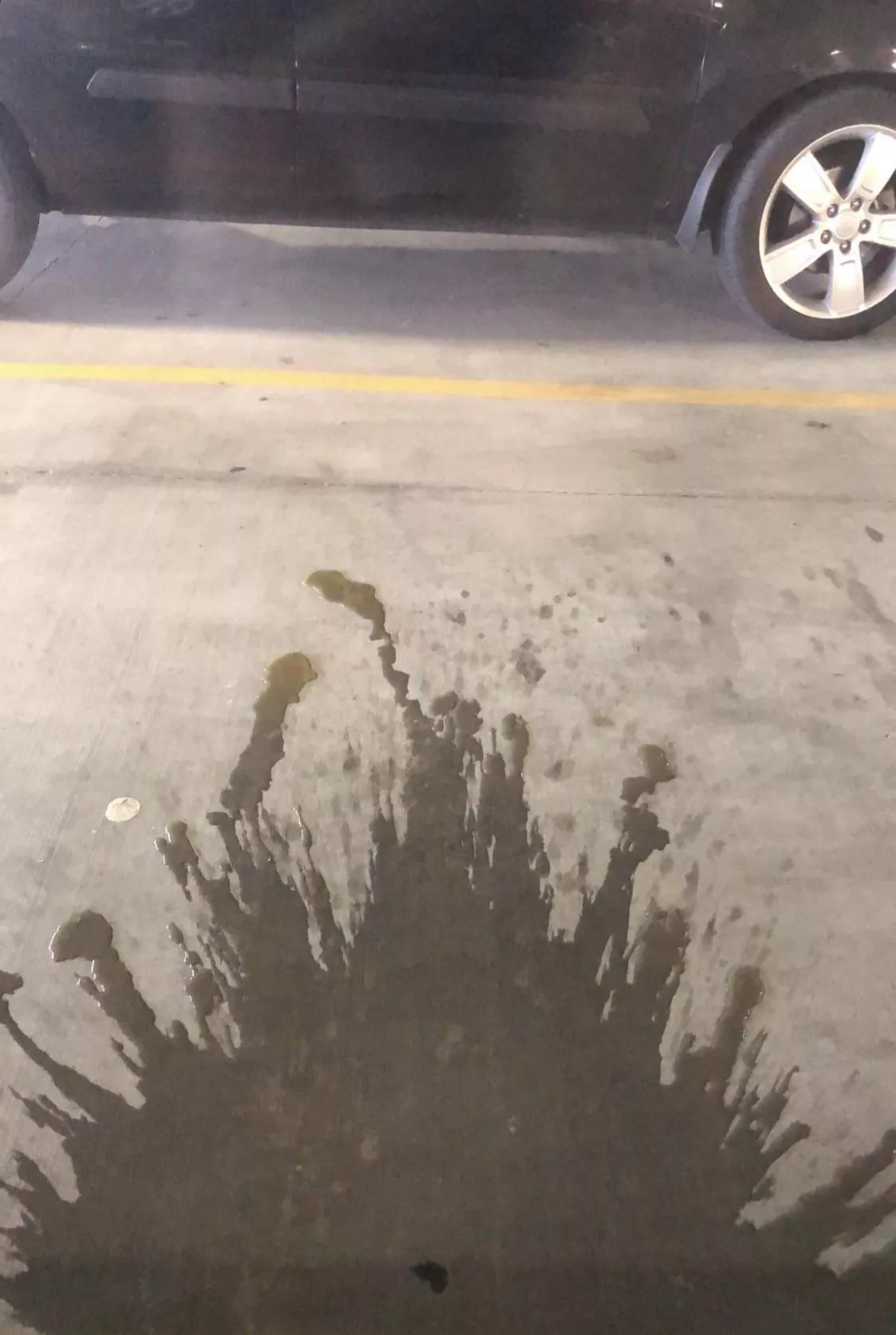 one year ago today of that time my ex pissed in a cup and made me dump it out the window…