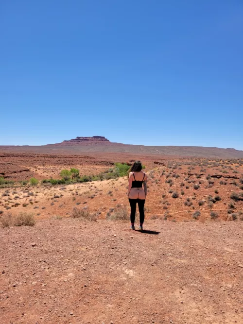 Our vacation was all buttes and butts