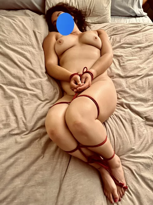 Patient slave. Waiting.